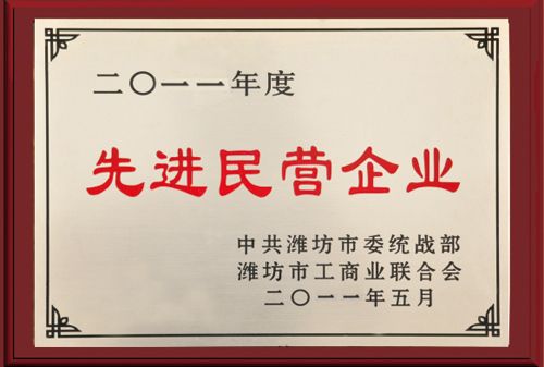 先進(jìn)民營企業(yè).jpg